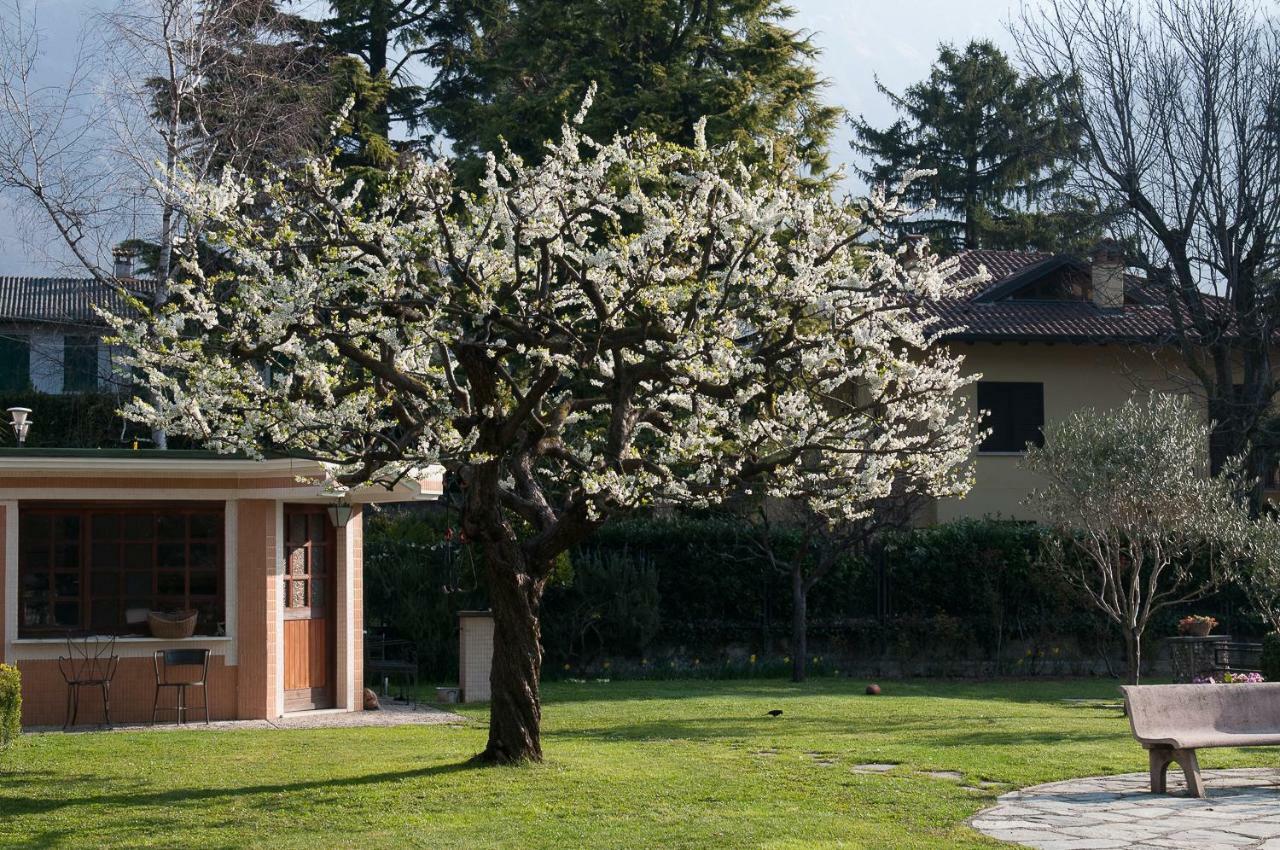 Casetta Del Molo Mandello del Lario Bagian luar foto